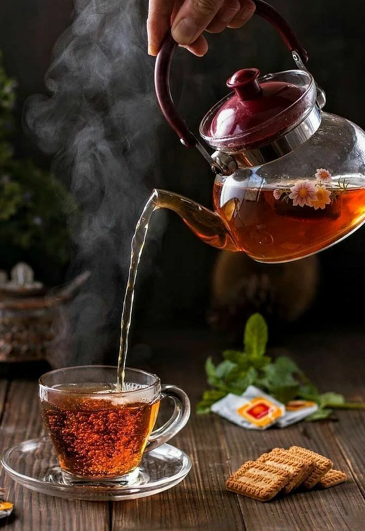 nilgiri tea8