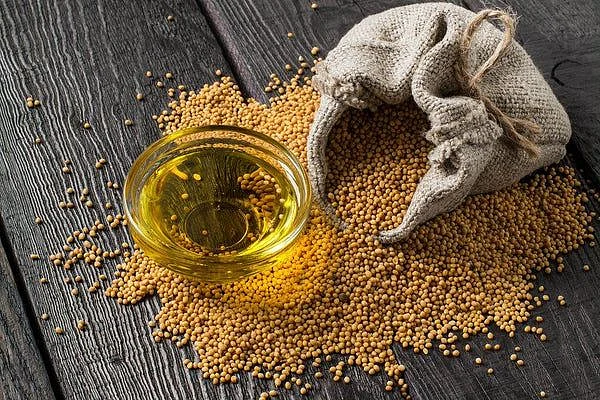 mustard oil1