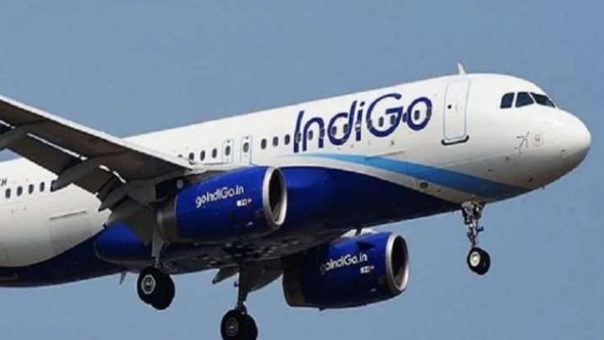 indigo 1707843635