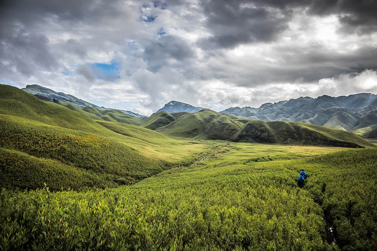 nagaland greenery
