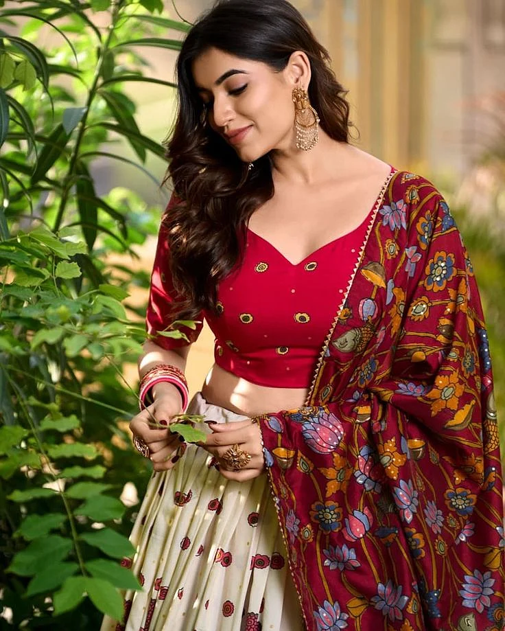 Heavy Silk Choli