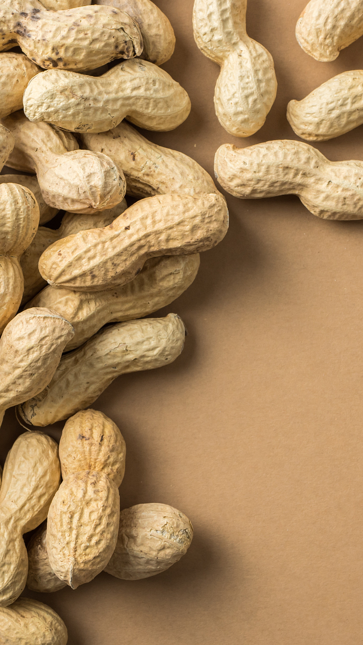 peanut7598