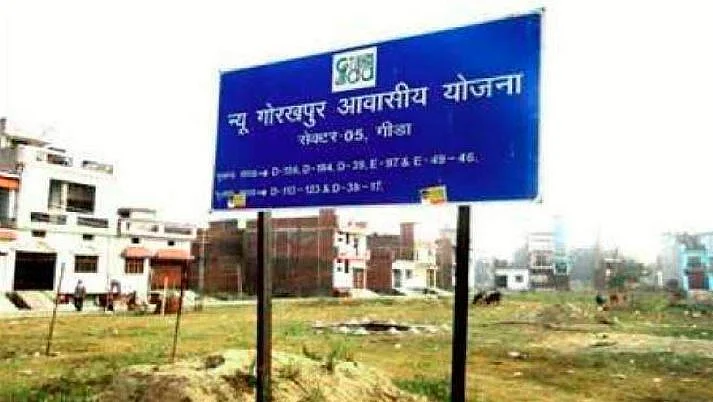 yogi 3