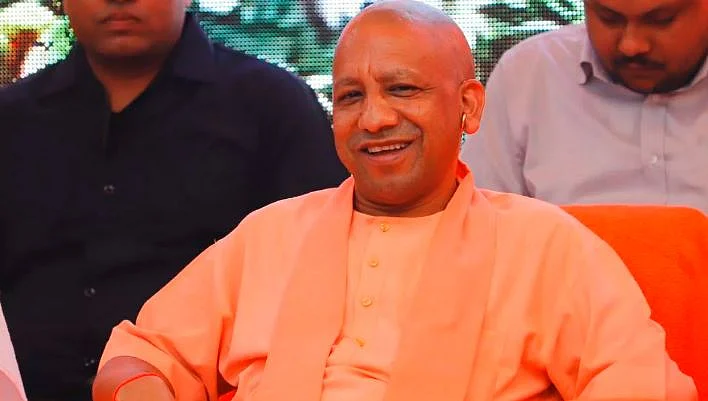 yogi 2