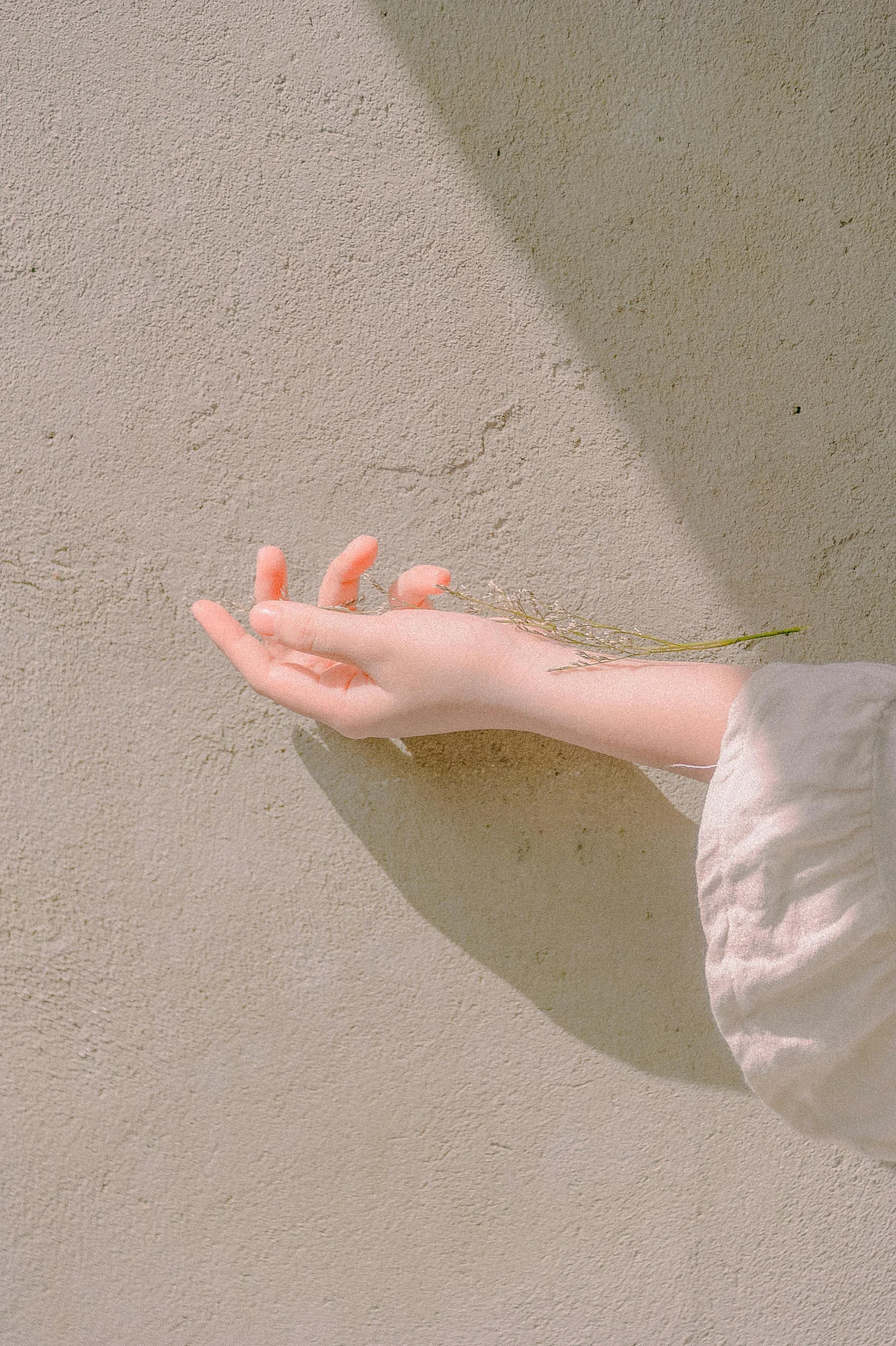 pexels minan1398 1248936