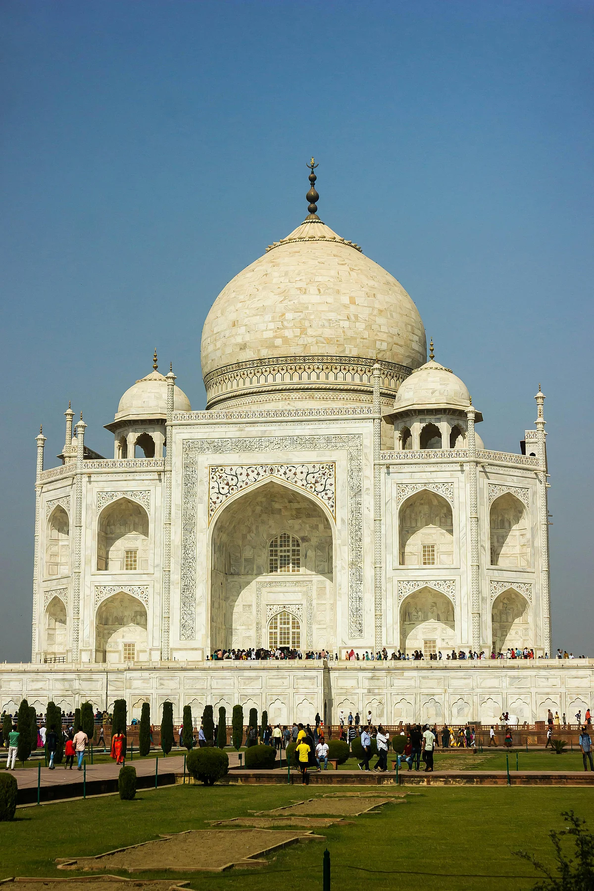 pexels shravankhare 9460632