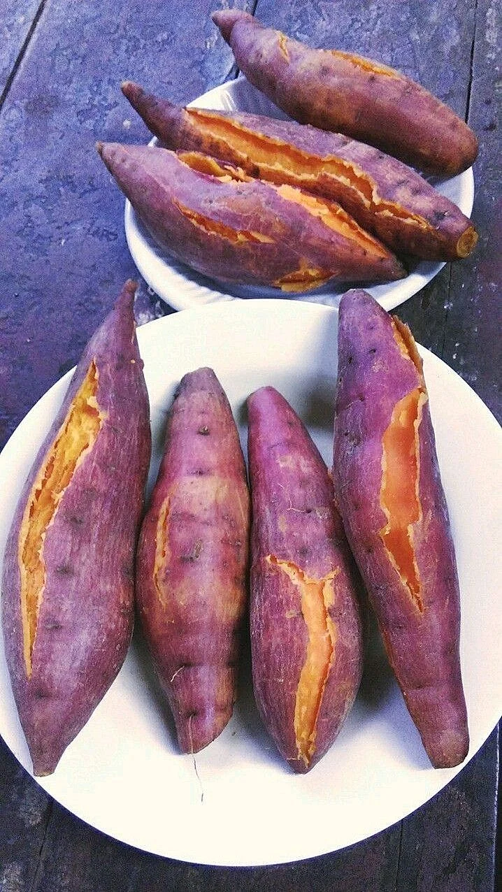Sweet Potato 10