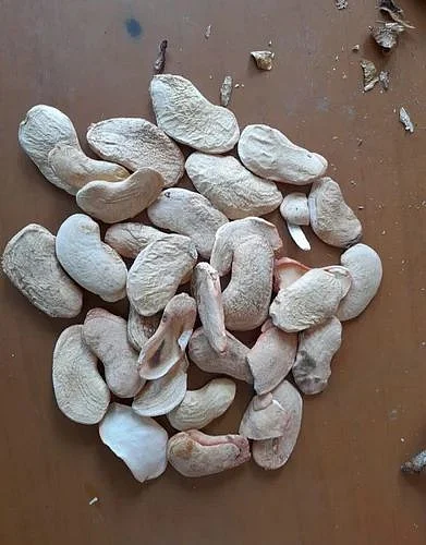 Mango nuts