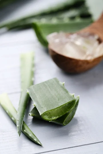 aloevera for hairs