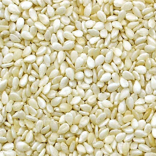 sesame seeds white spices100