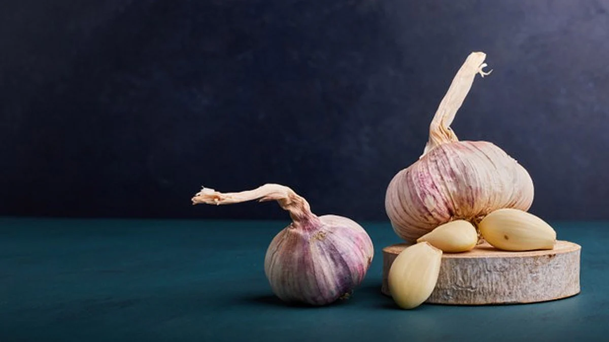 garlic3