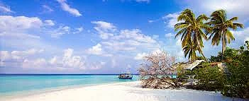 images 15