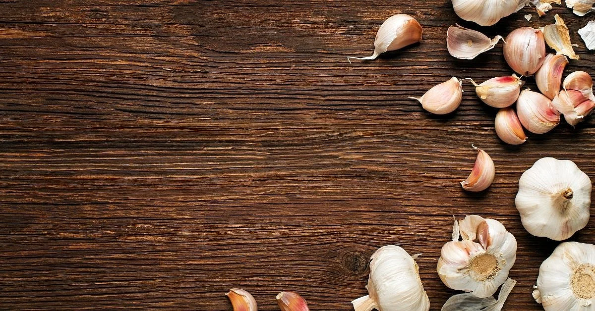 garlic5