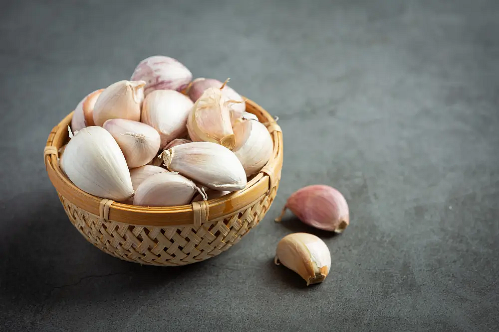 garlic9