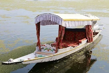 shikara boat