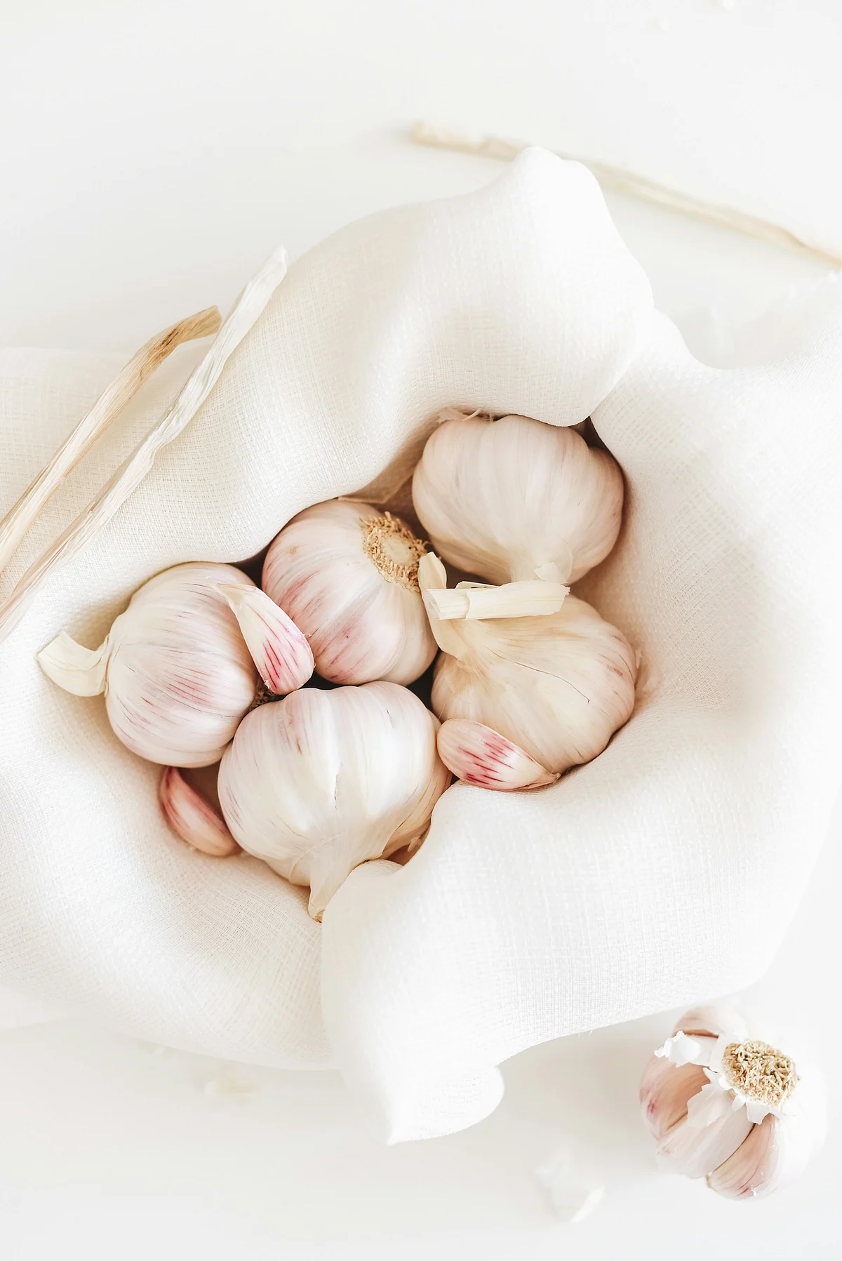 garlic7