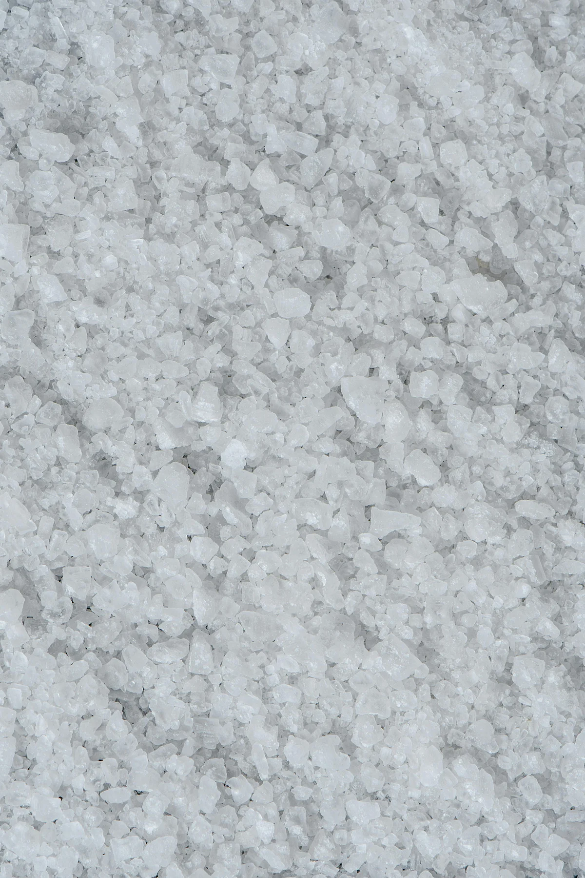 pexels eva bronzini 6104433