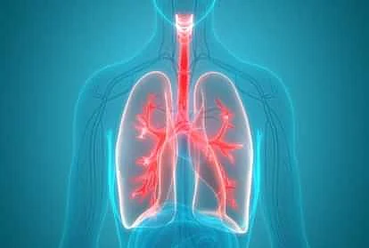 lungs 1621507913