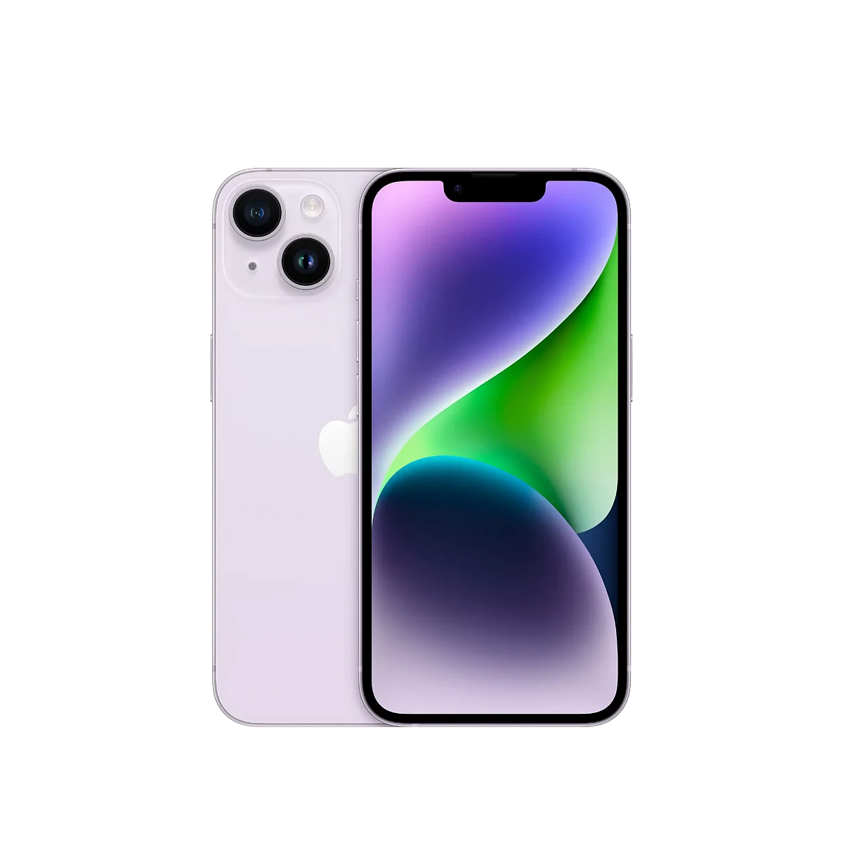 Purple scaled