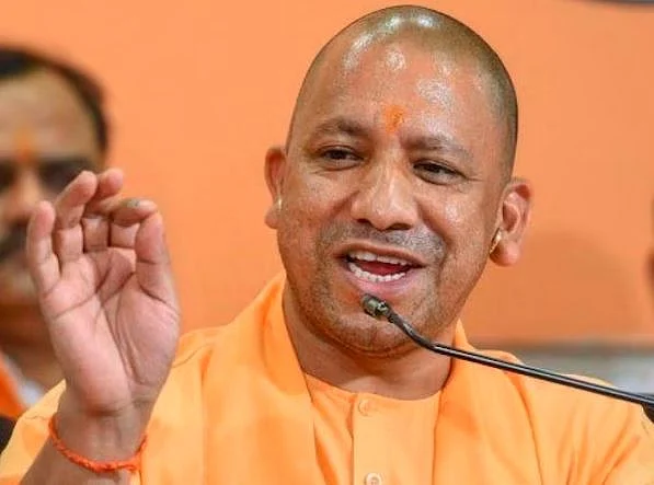 yogi 3