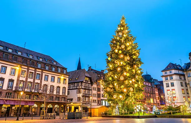 istockphoto 1198037501