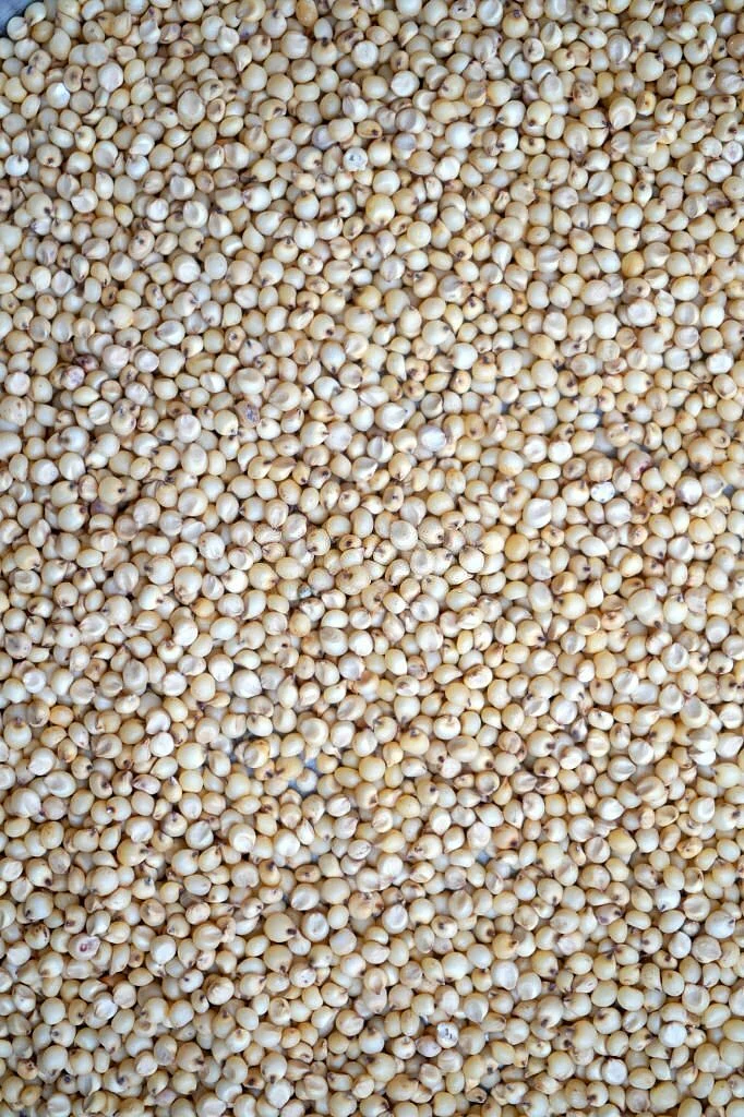 Millet