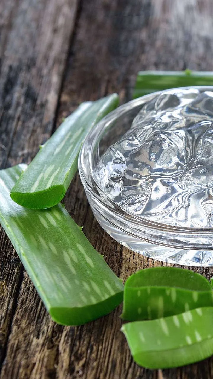 cut aloe vera leaf 1700543998