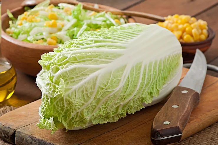 cabbage