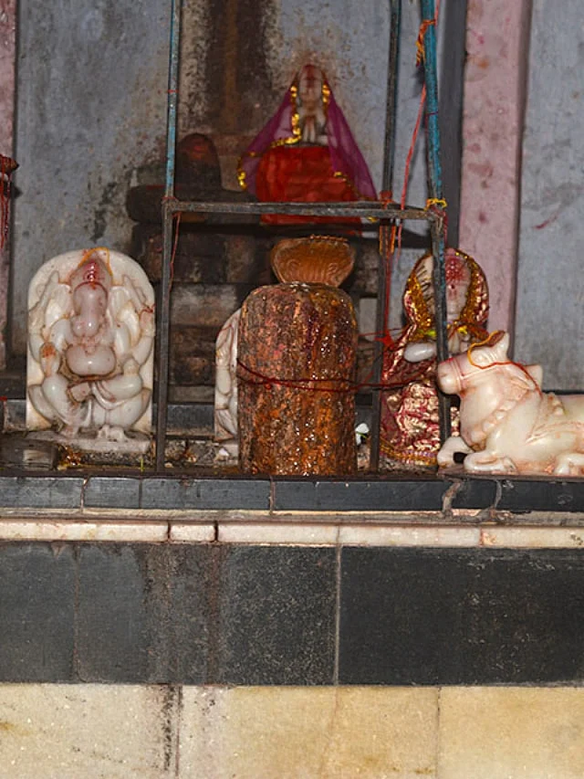 3476212 ganeshwar dham