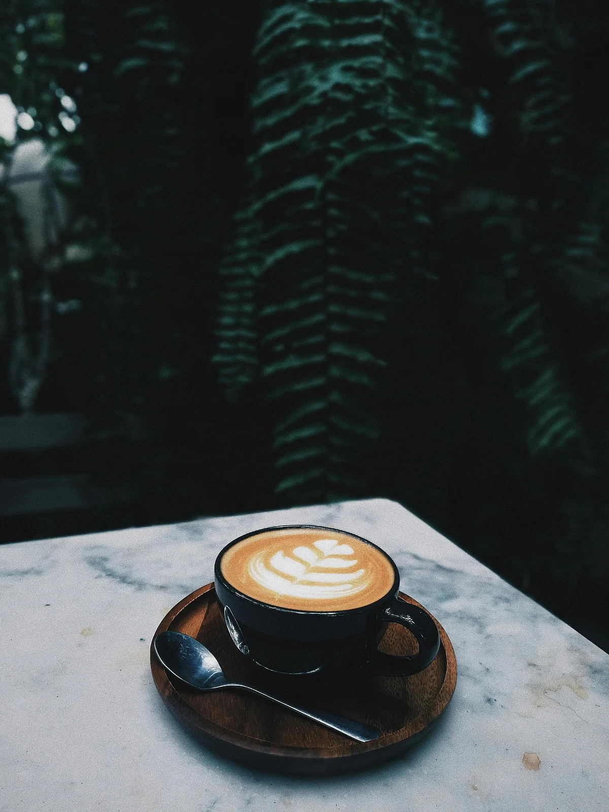 pexels blankspace 2907301