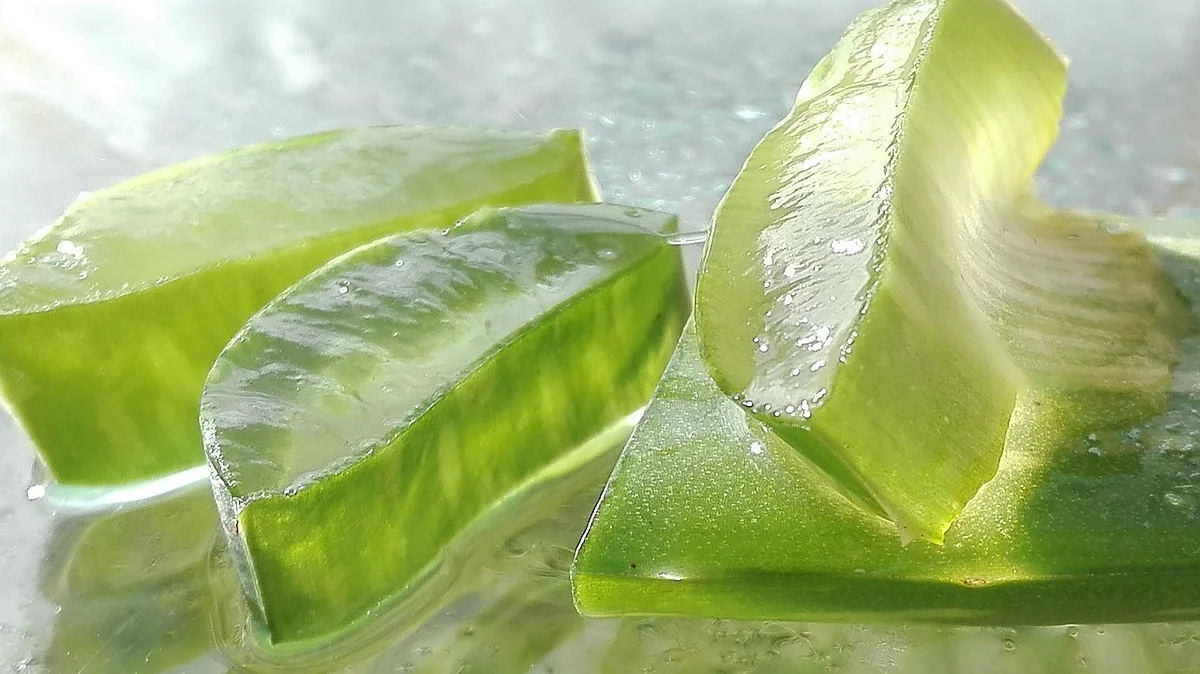 aloe 4