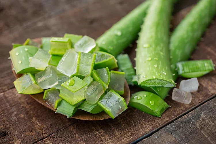aloe vera gel 03ab9ee2 54c9 4ed0 83d0 1c3900a590df