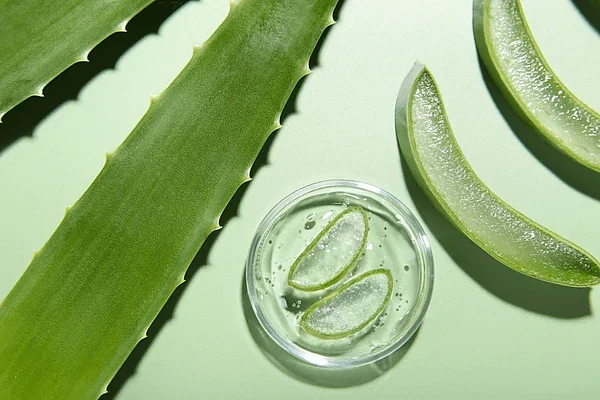 cut aloe vera leaves cosmetic 600nw 2432001155