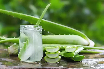 great sunshine nuts 100 aloe vera gel for face with natural aloe vera vitamin e for skin and hair 40