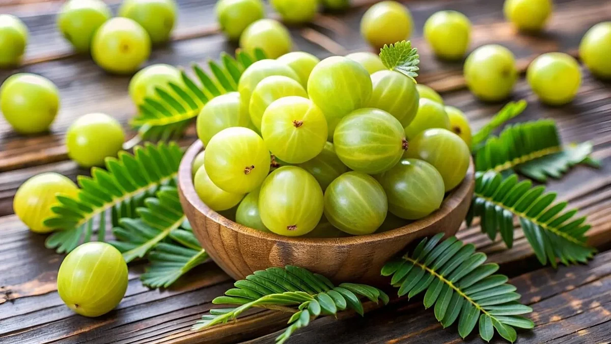 amla khane ke nuksaan 1725619558652 169