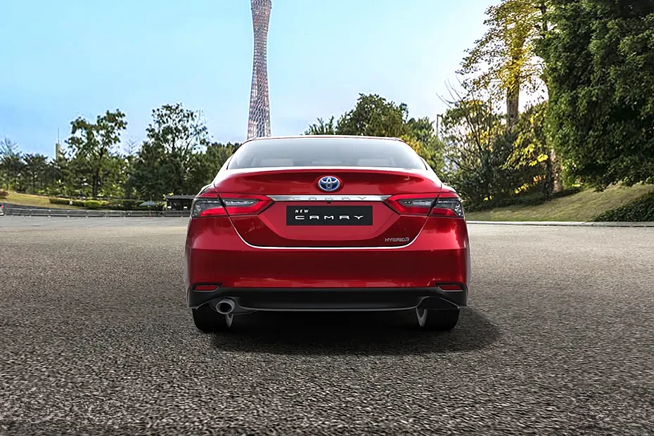 rear view 119