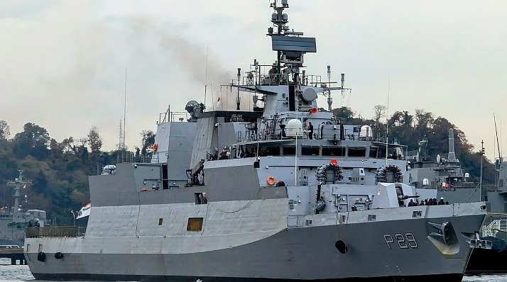 ins 6