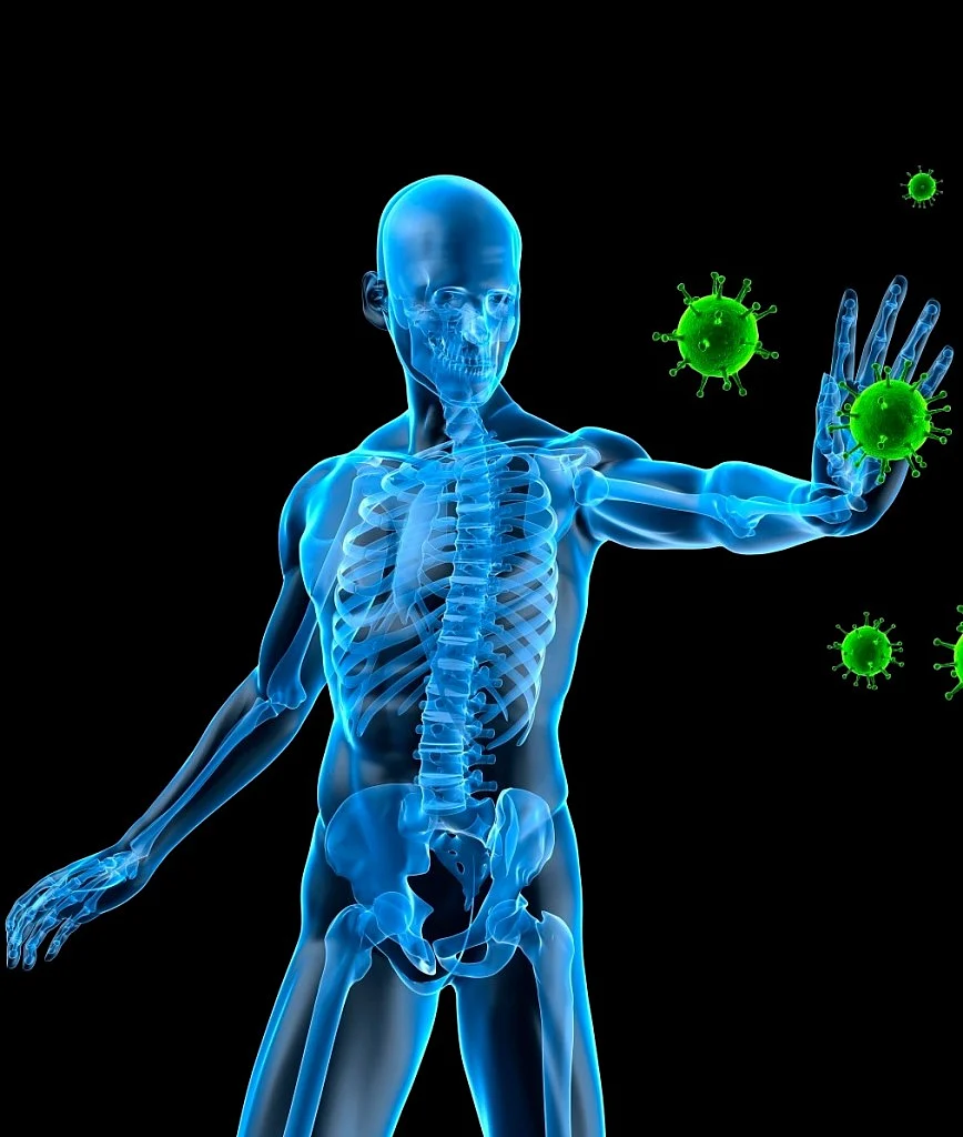 immune systmem 2