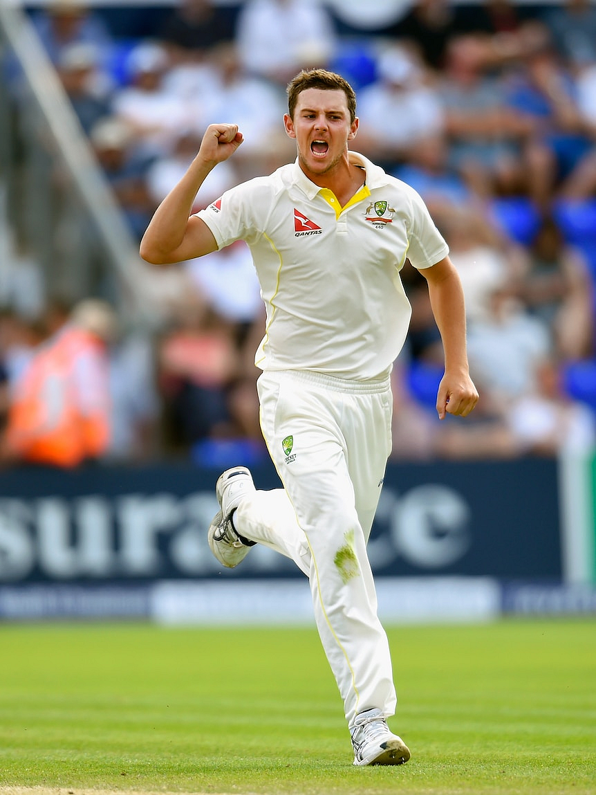 josh hazlewood 1