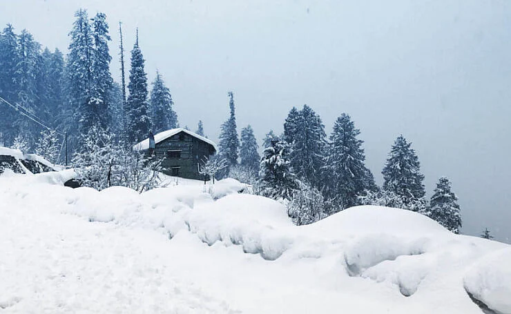 snow manali