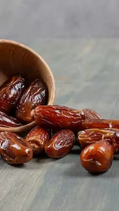 Date Palm 3