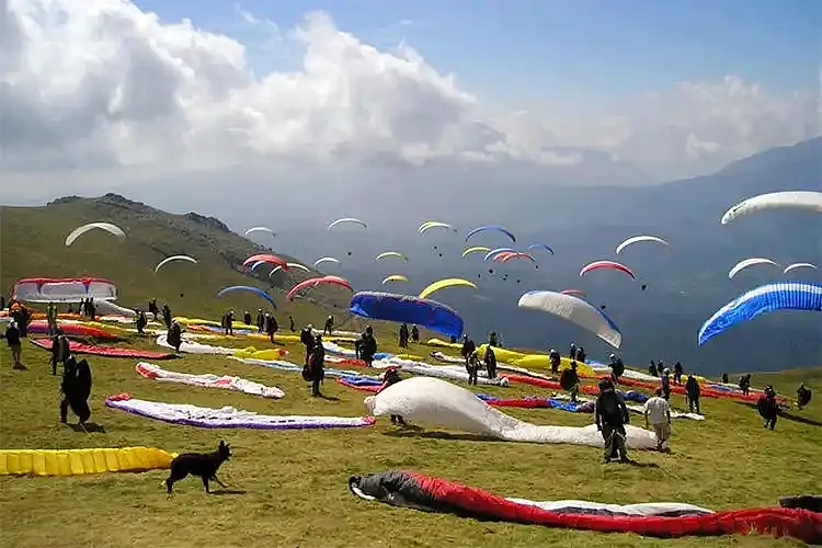 Paragliding at Bir Billing