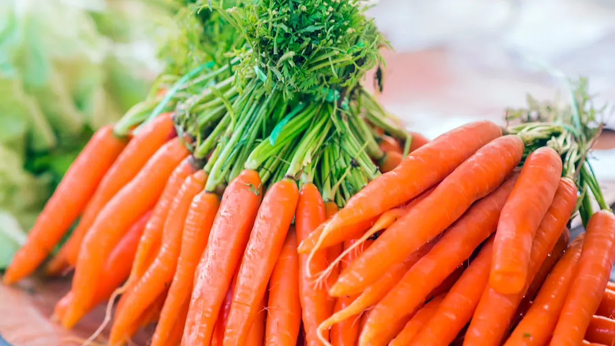 17042023 carrot23387184