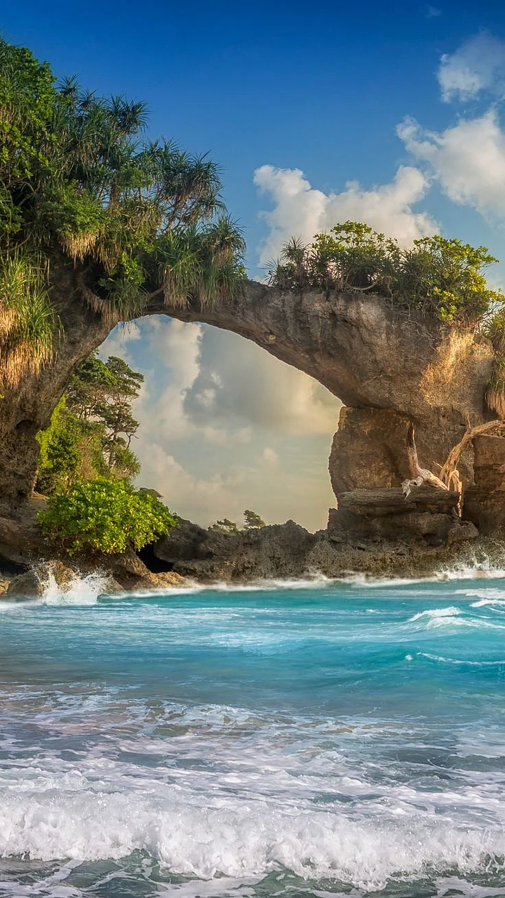 Natural Bridge on Bharatpur Beach Neill Island Bay of Bengal Andaman Islands India Windows Spotlight Images