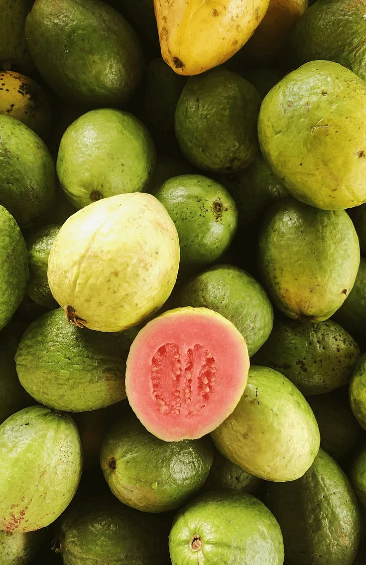 Sjemenke guave Natrij Gujavana Sjemenke guave Natrij Gujavana