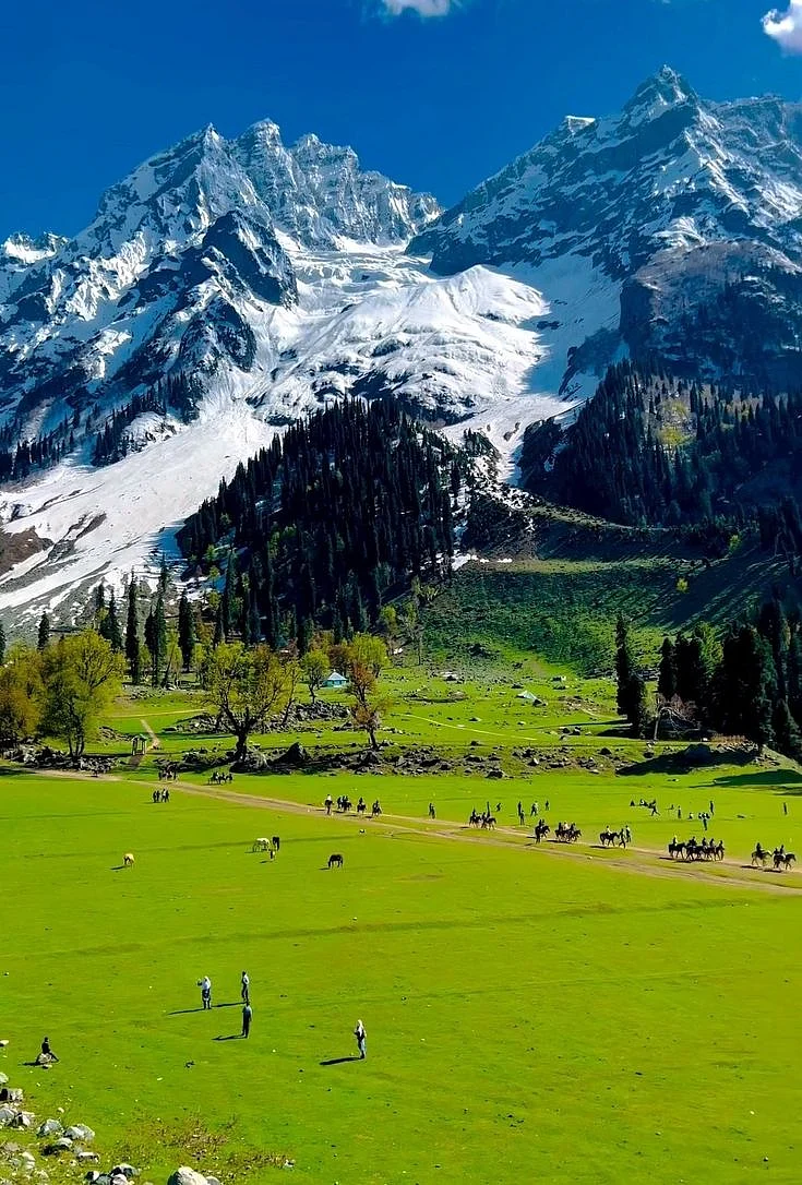 Sonmarg Kashmir