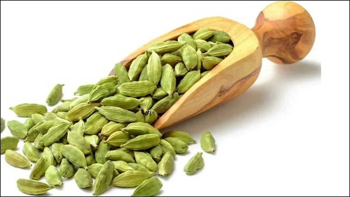 cardamom benefits 04 04 2024 1712215830