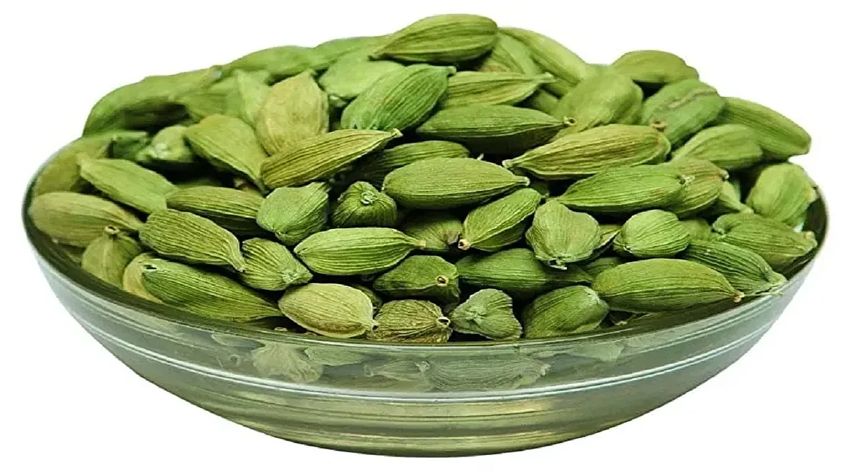 Cardamom Farming1