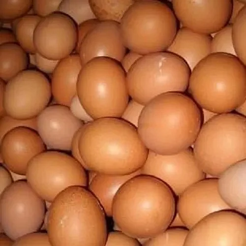 brown egg