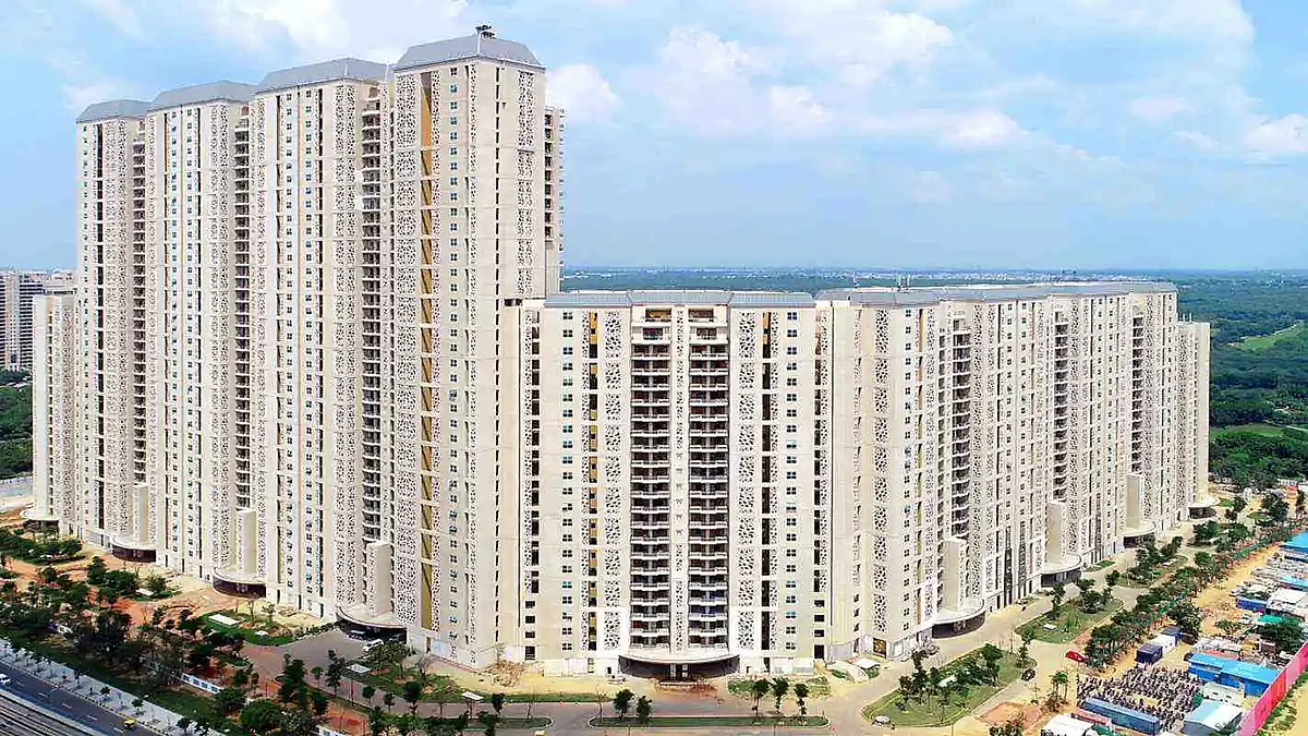 DLF